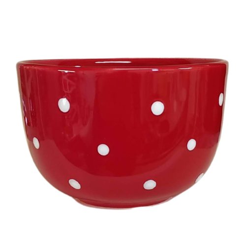 Cereal bowl cherry